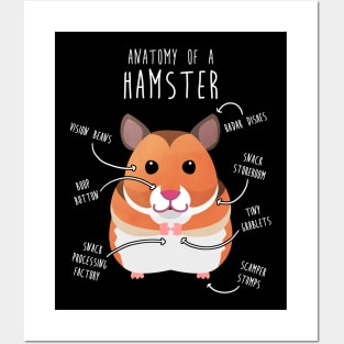 Syrian Hamster Anatomy Posters and Art